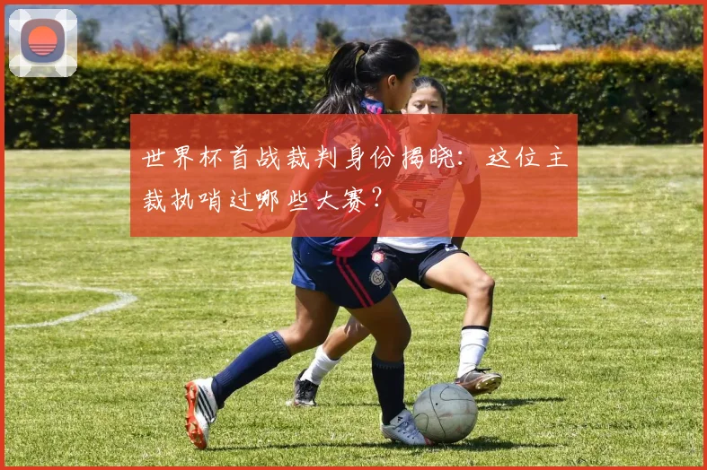 世界杯首战裁判身份揭晓：这位主裁执哨过哪些大赛？