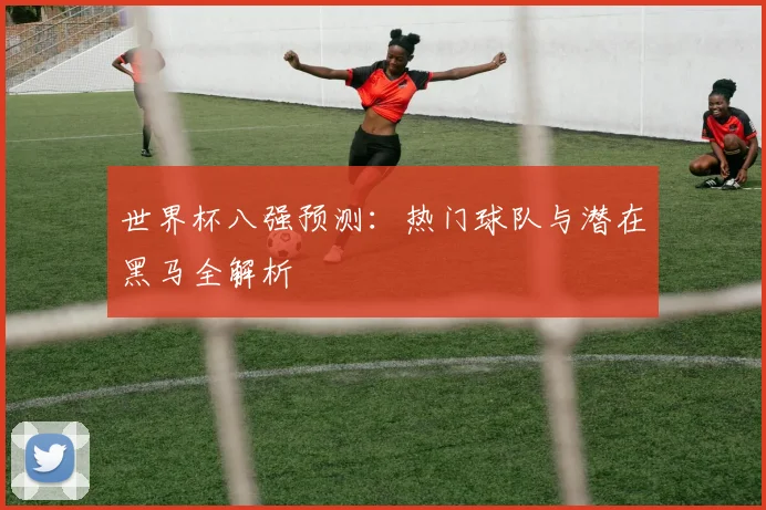 世界杯八强预测:热门球队与潜在黑马全解析