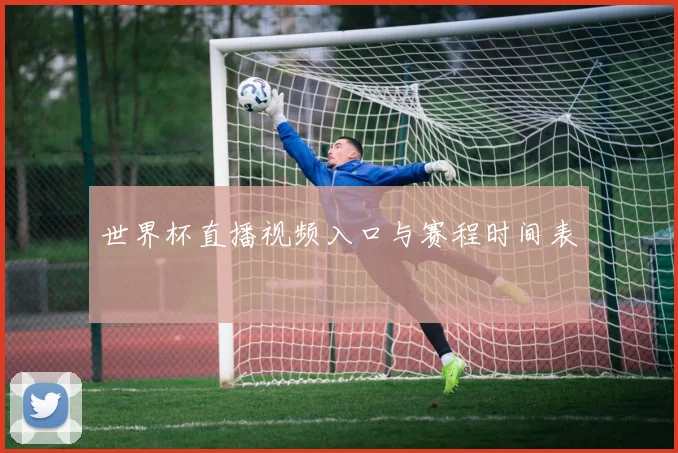 世界杯直播视频入口与赛程时间表