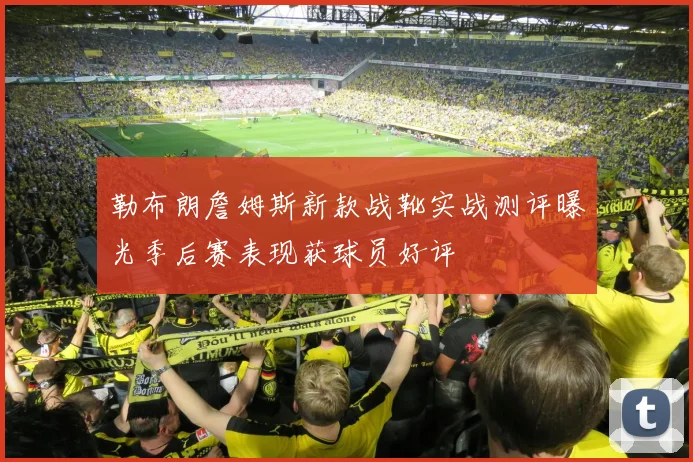 勒布朗詹姆斯新款战靴实战测评曝光季后赛表现获球员好评