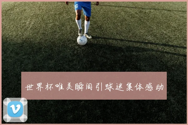 世界杯唯美瞬间引球迷集体感动