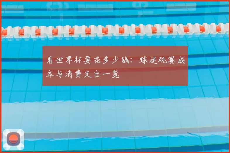 看世界杯要花多少钱：球迷观赛成本与消费支出一览