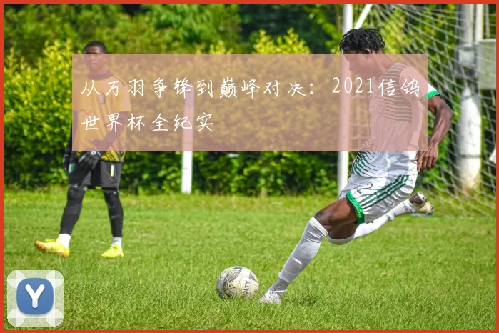 从万羽争锋到巅峰对决：2021信鸽世界杯全纪实
