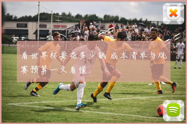 看世界杯要花多少钱 成本清单与观赛预算一文看懂
