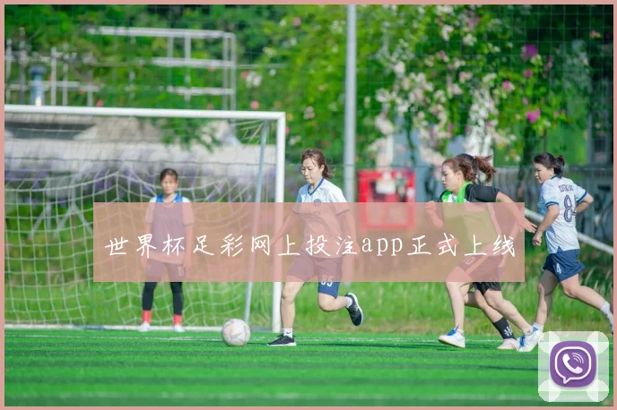 世界杯足彩网上投注app正式上线