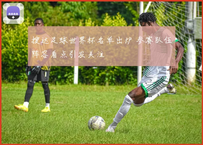 搜达足球世界杯名单出炉 参赛队伍阵容看点引发关注